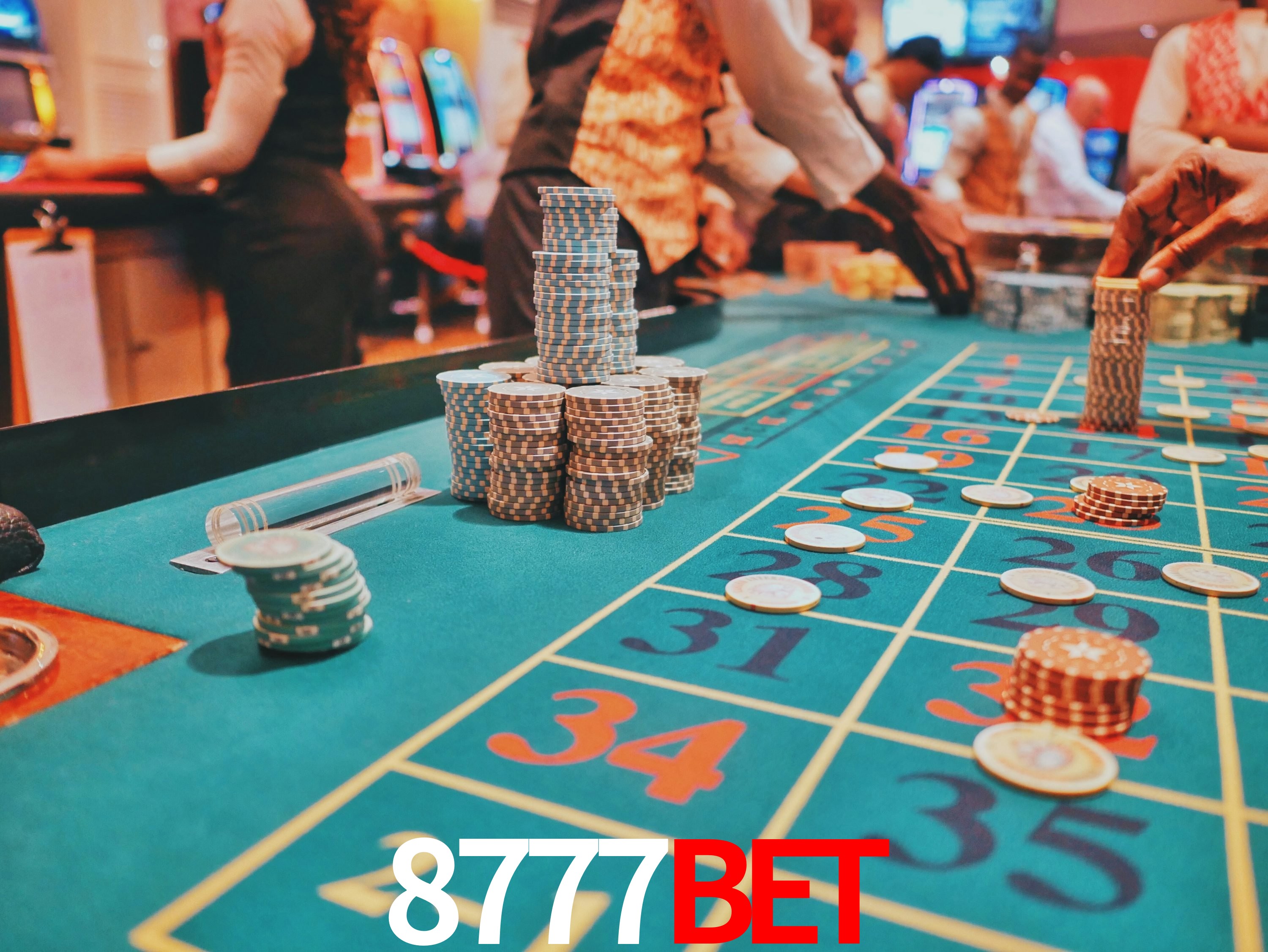 Sports Statistics 8777bet
